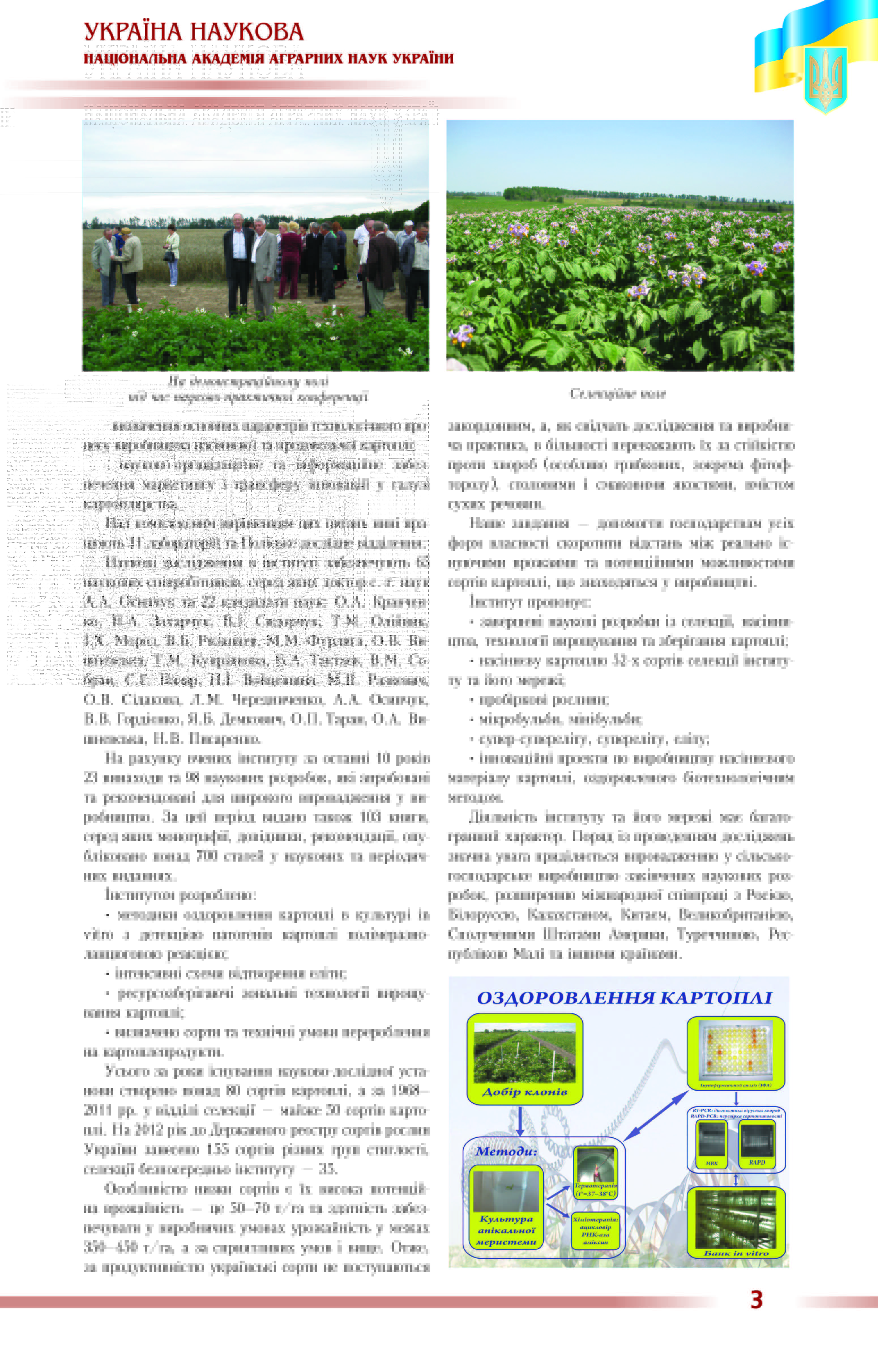 Інститут картоплянства Національної академії аграних наук України